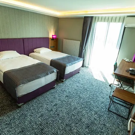 Businesspalas Deluxe 3* 伊兹密特