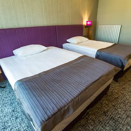 Businesspalas Deluxe 酒店 伊兹密特