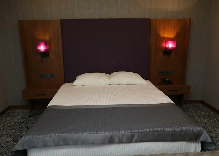 Hotel Businesspalas Deluxe 3*