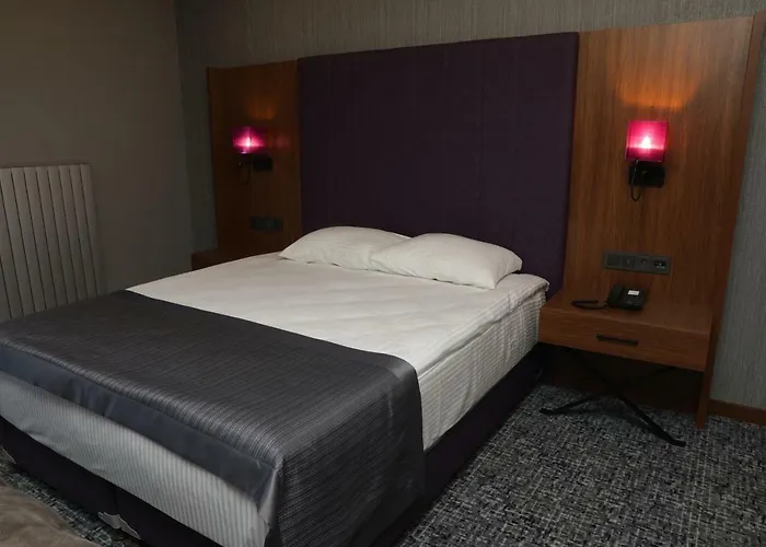 Hotel Businesspalas Deluxe 3*