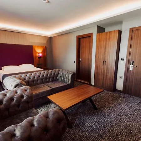 Businesspalas Deluxe 호텔