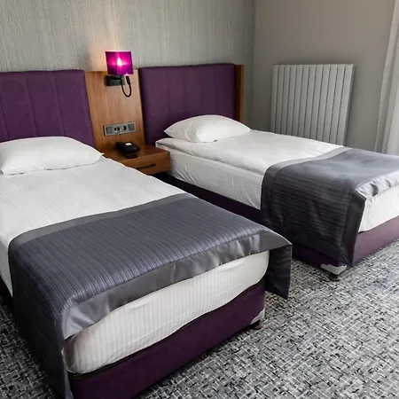 호텔 Businesspalas Deluxe 이즈밋