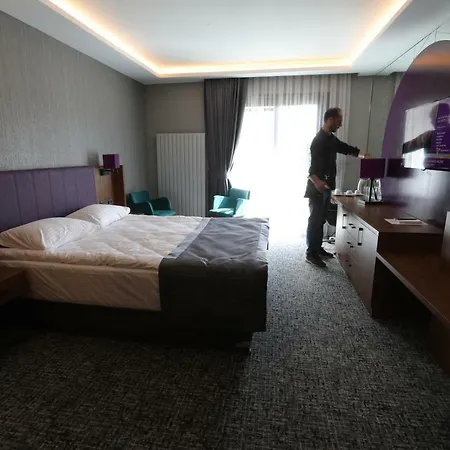 Businesspalas Deluxe 호텔