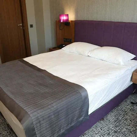 Businesspalas Deluxe 호텔