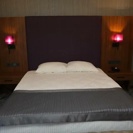 호텔 Businesspalas Deluxe 3*